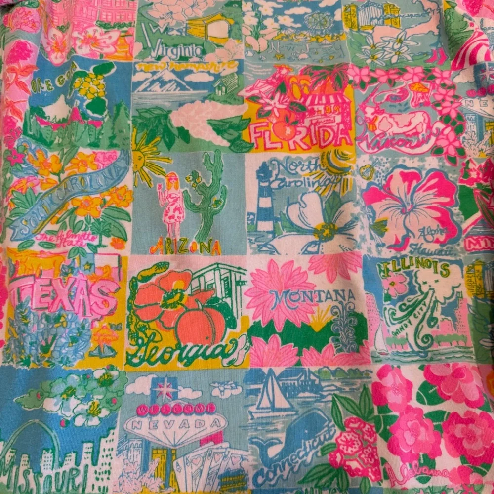 Lilly Pulitzer Girls Brissa Dress in Multi Lilly State of Mind Size L (8-10) - Picture 2 of 5